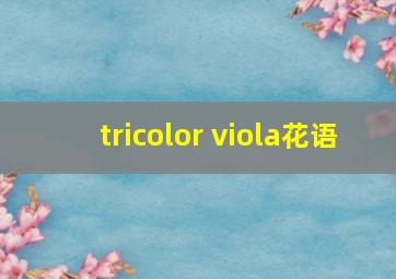 tricolor viola花语